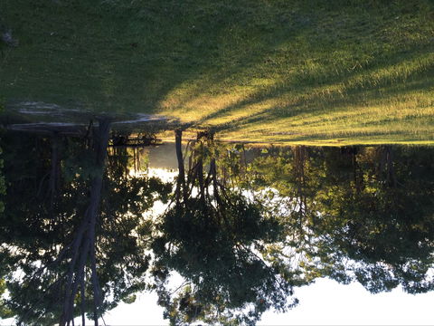 Possum's Hollow And Hooter's Hut - Accommodation Sunshine Coast 0