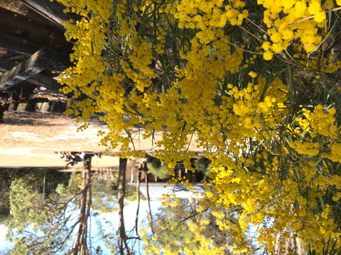 Possum's Hollow And Hooter's Hut - Accommodation Sunshine Coast 1