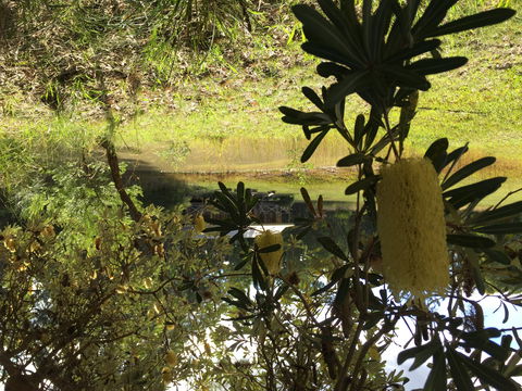 Possum's Hollow And Hooter's Hut - Accommodation Sunshine Coast 2