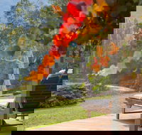 Riverdowns - Accommodation Sunshine Coast