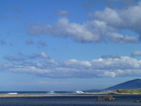 Scamander On The Beach - Accommodation Sunshine Coast 1