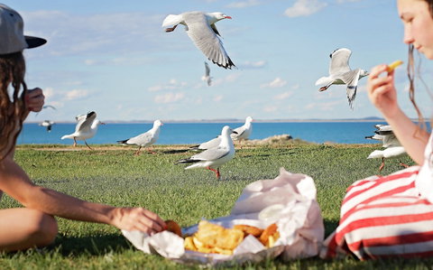 Seafarers Robe - Accommodation Sunshine Coast 0