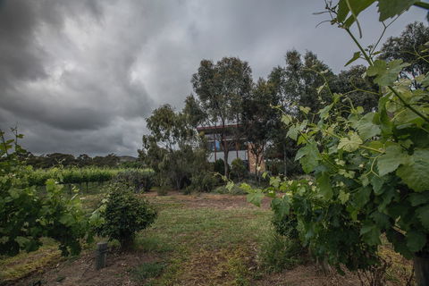 Sellicks Chills - Vineyard Retreats - Accommodation Sunshine Coast 2