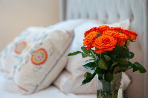 The Nest At Gundaroo - Accommodation Sunshine Coast 1