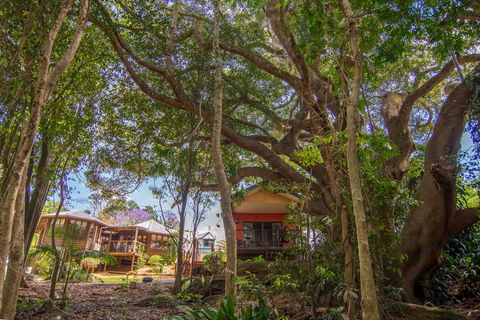 The African Village - By Clouds - Accommodation Sunshine Coast 0