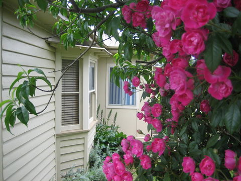 Valley Views Bed And Breakfast - Accommodation Sunshine Coast 0