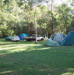 Broadwater Stopover Tourist Park - Accommodation Sunshine Coast 4