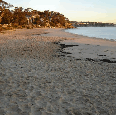 Beachhaven Bed & Breakfast - Accommodation Sunshine Coast 5