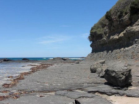 Dolphins Point Tourist Park - Accommodation Sunshine Coast 4