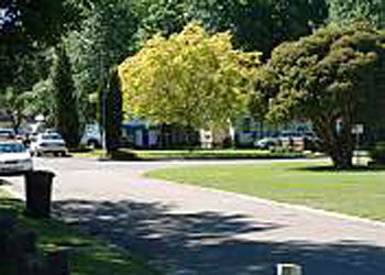 Mitchell Gardens Holiday Park - Accommodation Sunshine Coast 0