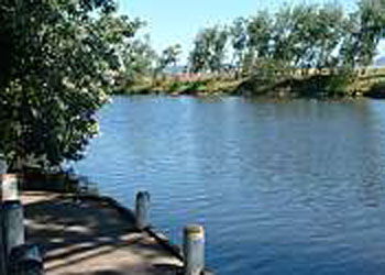 Mitchell Gardens Holiday Park - Accommodation Sunshine Coast 2