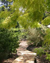 Eagle Hammer Cottages - Accommodation Sunshine Coast 0