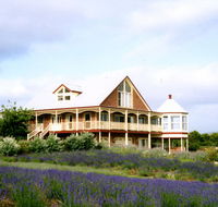Serendipity Lavender Farm - Accommodation Sunshine Coast