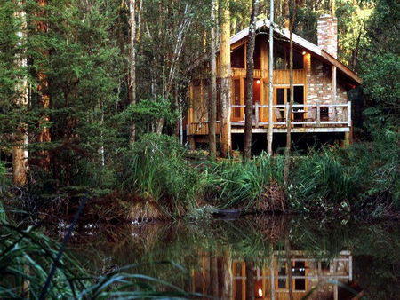 Woodlands Rainforest Retreat - Accommodation Sunshine Coast 0
