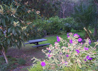 Sunway Farm B And B And Tours - Accommodation Sunshine Coast 2