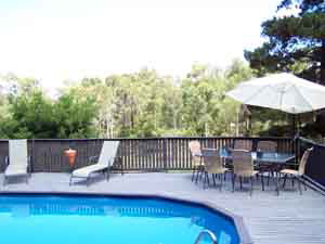 Sunway Farm B And B And Tours - Accommodation Sunshine Coast 3