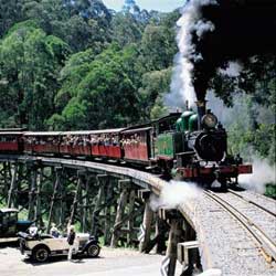 Yuulong Bed And Breakfast - Accommodation Sunshine Coast 5