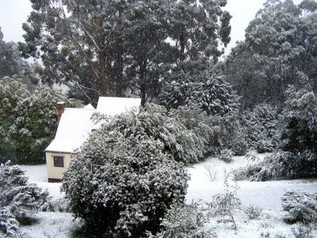 Tranquillity Cottage - Accommodation Sunshine Coast 0