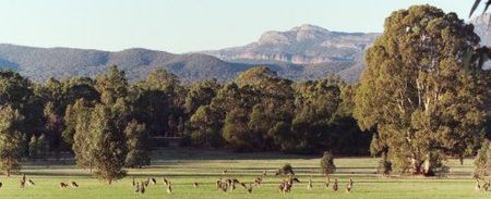 Wartook Gardens - Accommodation Sunshine Coast 1