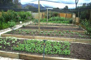 Wartook Gardens - Accommodation Sunshine Coast 3