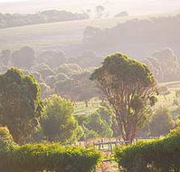 Mackas Farm - Accommodation Sunshine Coast