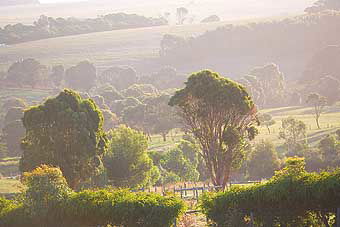 Mackas Farm - Accommodation Sunshine Coast 0