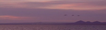 Pelican Sands Bed And Breakfast - Accommodation Sunshine Coast 0