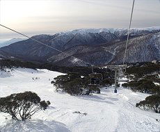 Trackers Mountain Lodge - Accommodation Sunshine Coast 2
