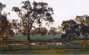 Ardwick Homestead - Accommodation Sunshine Coast 1