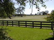 Ardwick Homestead - Accommodation Sunshine Coast 2