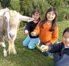Johanna River Farm and Cottages - Accommodation Sunshine Coast