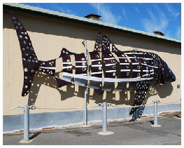 Apollo Bay Recreation Reserve Caravan And Camp Park - Accommodation Sunshine Coast 1