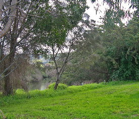 Apollo Bay Recreation Reserve Caravan And Camp Park - Accommodation Sunshine Coast 3