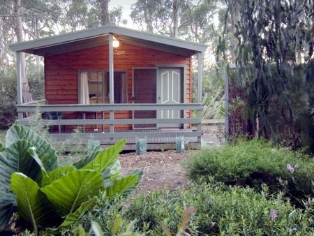 A Maze N Things Holiday Park - Accommodation Sunshine Coast 0