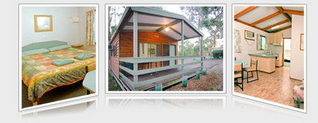 A Maze N Things Holiday Park - Accommodation Sunshine Coast 5