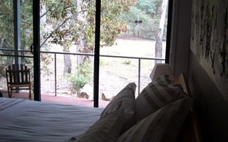 Glengarriff Town Houses - Accommodation Sunshine Coast 0