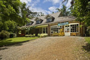 Tamborine Mountain QLD Accommodation Sunshine Coast