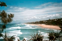 Melaluka And Costa Bella Luxury Apartments - Accommodation Sunshine Coast 1