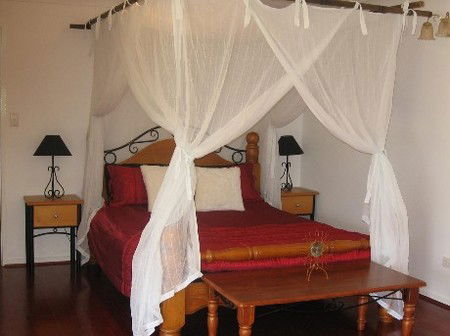 Attunga Park Country Retreat - Accommodation Sunshine Coast 4