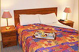 Homestead Motor Inn And Apartments - Accommodation Sunshine Coast 0