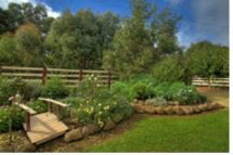 Peppermint Springs Retreat & Day Spa - Accommodation Sunshine Coast 2