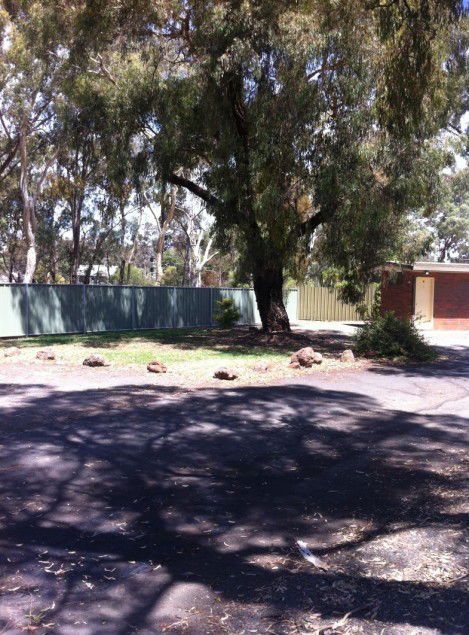 Golden Country Motel And Caravan Park - Accommodation Sunshine Coast 2