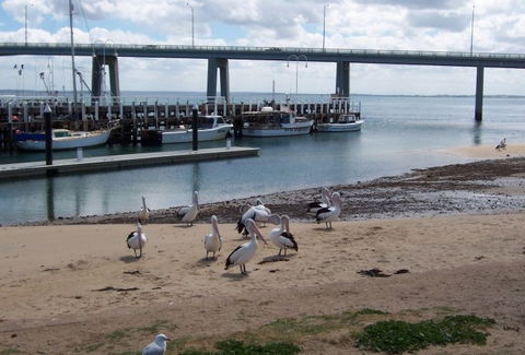 BIG4 Phillip Island Caravan Park - Accommodation Sunshine Coast 5
