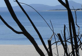 Echo Hills - Accommodation Sunshine Coast 2