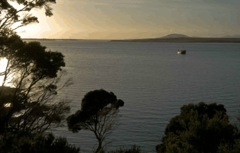 Echo Hills - Accommodation Sunshine Coast 4