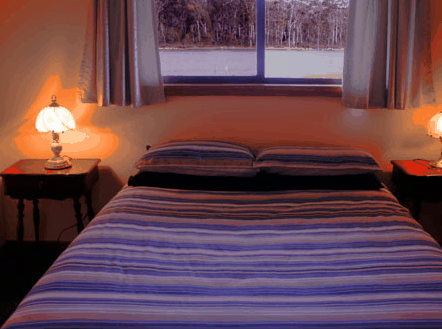 Lake Yalleena Cabins - Accommodation Sunshine Coast 0