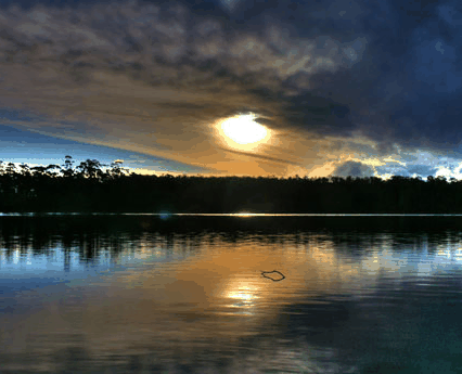 Lake Yalleena Cabins - Accommodation Sunshine Coast 3