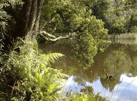  Accommodation Sunshine Coast