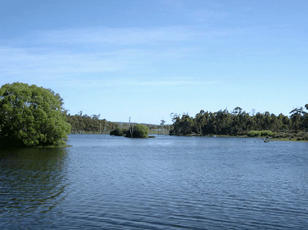 Currawong Lakes - Accommodation Sunshine Coast 0