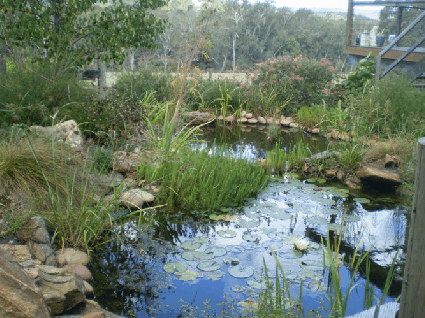 Crabapple Lane Bed & Breakfast - Accommodation Sunshine Coast 2